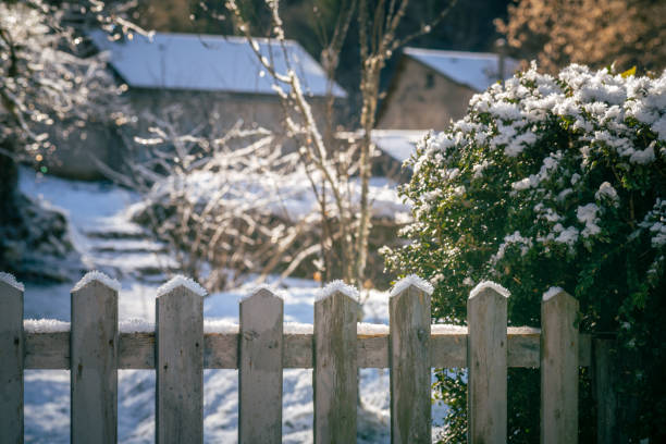 istock Frost covered garden fence in winter 1367932686