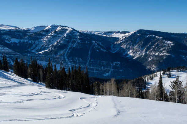 마운틴사이드의 스키 슬로프 - clear sky ski footpath snow 뉴스 사진 이미지