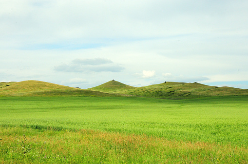 High hills in the endless summer steppe overgrown with grass under a summer cloudy sky. Khakassia, Siberia, Russia.