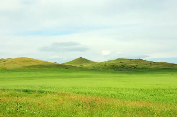 High hills in the endless summer steppe overgrown with grass under a summer cloudy sky. Khakassia, Siberia, Russia.