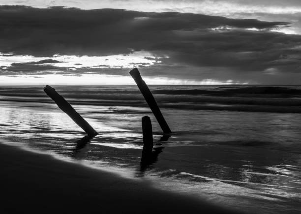istock Sunrise in Dunedin 8 1367943319