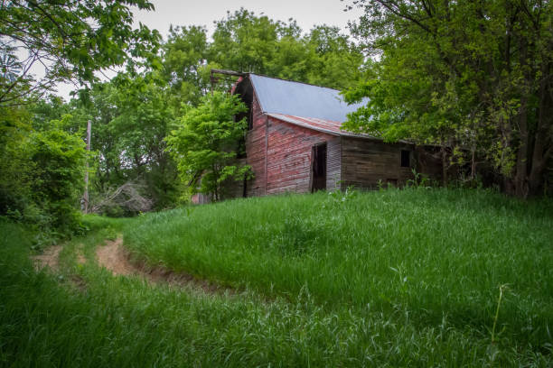 istock Two rut dirt drive leading to abandoned farm barns 1367943323