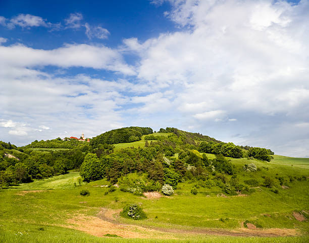 istock Summer Landscape with Castle Leuchtenburg 136794343