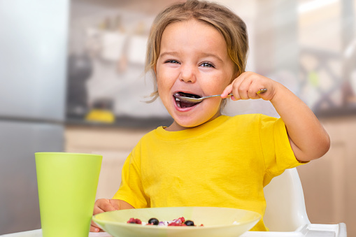 Child eating porridge with berries in a high chair in the kitchen