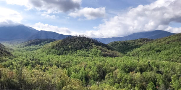 große smokey mountains -tennessee - great smoky mountains great smoky mountains national park panoramic appalachian mountains stock-fotos und bilder