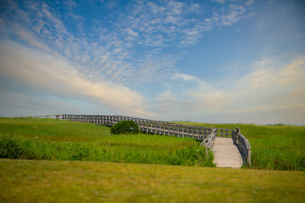 Boardwalk on Rushton Beach Provincial Park in Nova Scotia, Canada