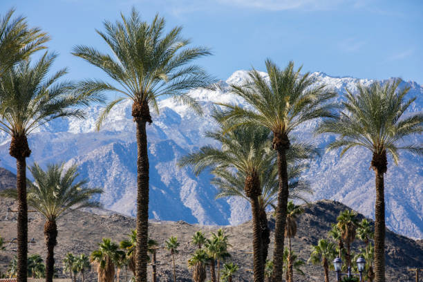 istock Cathedral City, California 1367950976
