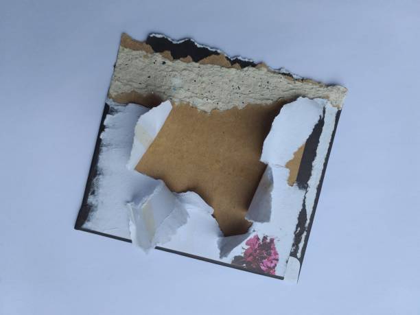 istock torn white paper background photo 1367956064