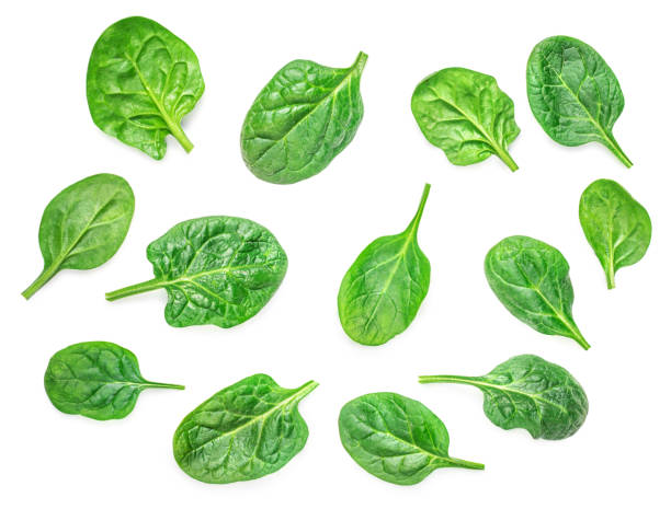 istock Spinach Collection. Fresh Spinach baby leaves isolated on white background. Top view. Flat lay.