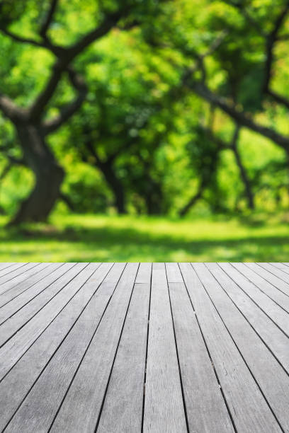 istock Empty wooden platform and green spring blurred abstract background 1367959953