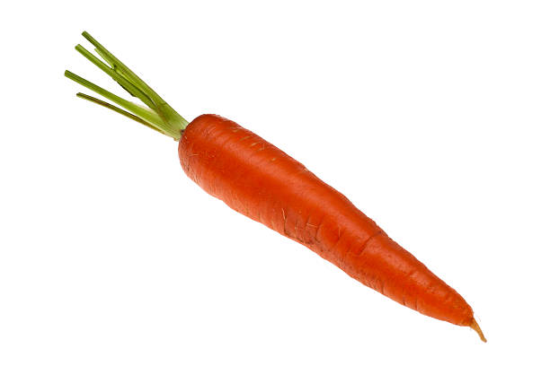 SIngle Organic Carrot stock photo