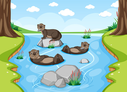 Otters in the river forest background illustration