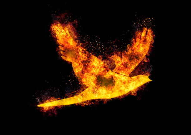 istock Illustration of a fire bird flapping in the dark 1367967818