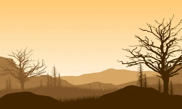 Vector illustration of Mountain view with the dense of dry trees in the afternoon