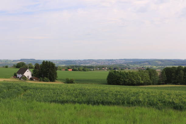 istock Beautiful summer day in Menden in the Sauerland 1367972432