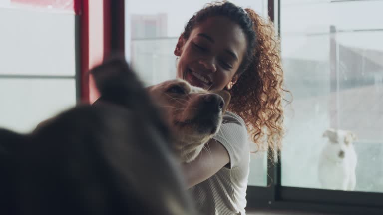 4k video footage of an attractive young woman bonding with her newly adopted dog at the animal shelter