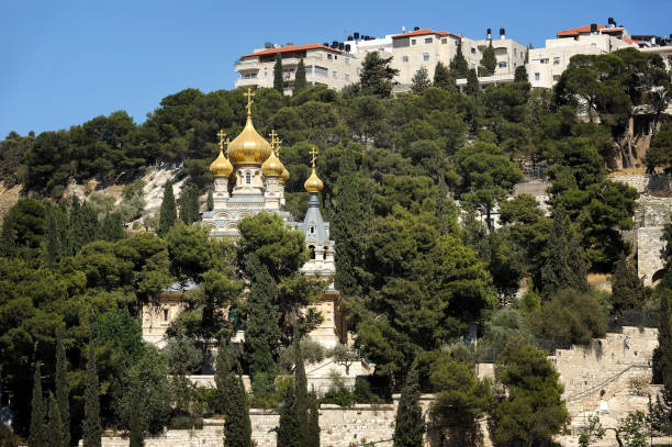 Kidron Valley and the Mount of Olives in Israel The holy places of the three religions in Israel - Kidron Valley and the Mount of Olives kidron valley stock pictures, royalty-free photos & images