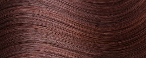 istock Brown hair background. Straight long hair texture. 1367978351