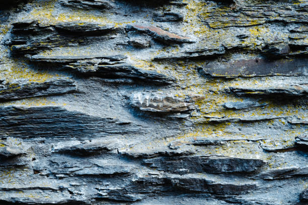 istock Texture of stone wall with cement. 1367980527