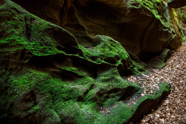 Beautiful stone formations in a landscape in Luxembourg