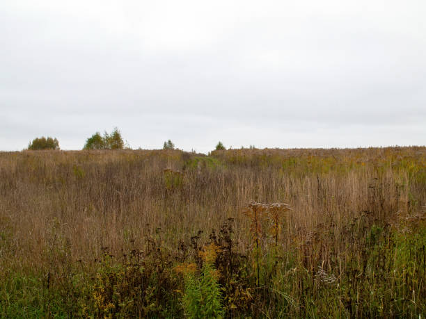 istock landscape on a cloudy autumn day 1367983718