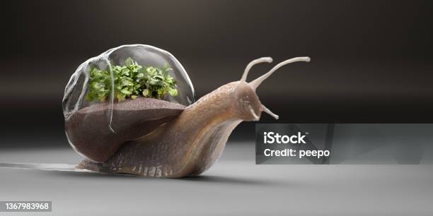 Snail Carrying Glass Shell Terrarium Filled With Succulent Plants Stock Photo - Download Image Now