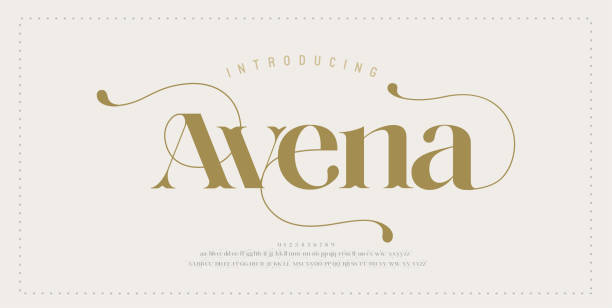Elegant alphabet letters font and number. Typography Luxury classic lettering serif fonts decorative wedding vintage retro concept. vector illustration