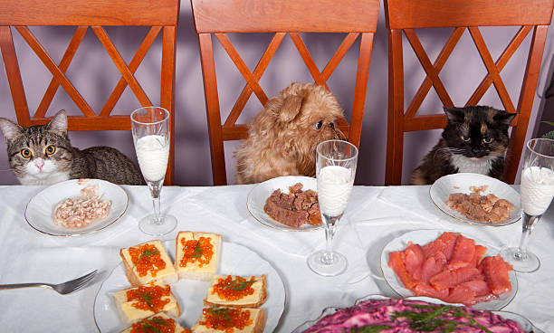 istock Banquet for the animals 136798668