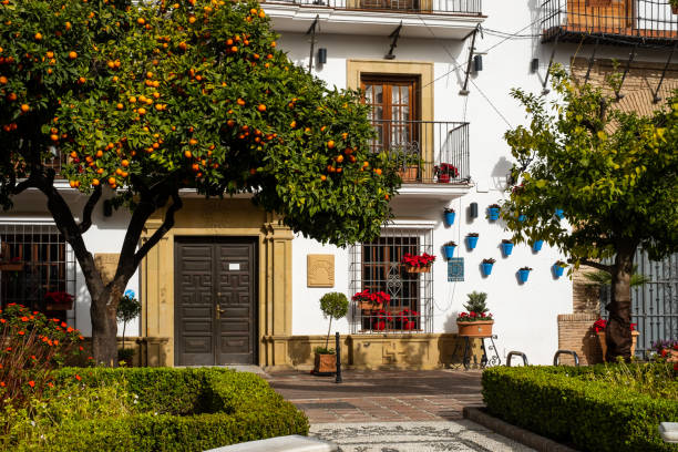 Marbella, Spain January 29, 2022, Marbella Town Hall with the typical blue pots