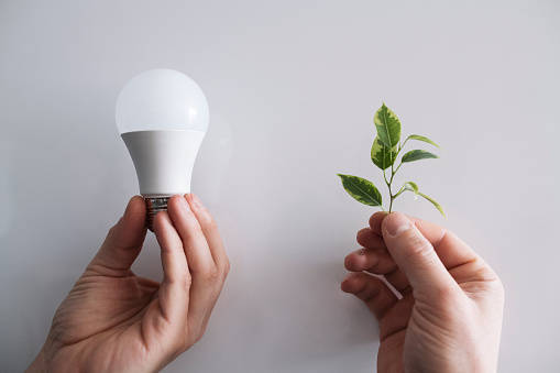 Human hands holding light bulb and plant.Energy-saving and environmental concept.
