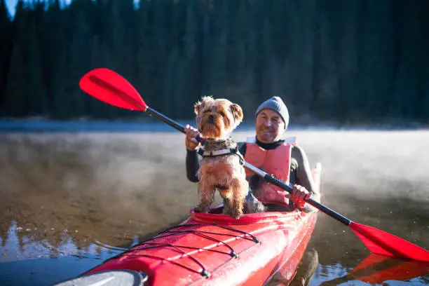 Photo of Senior man kayaking in lake with his pet dog.