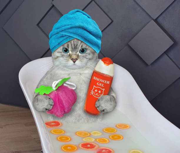 istock Cat ashen takes citrus bath 2 1367988773