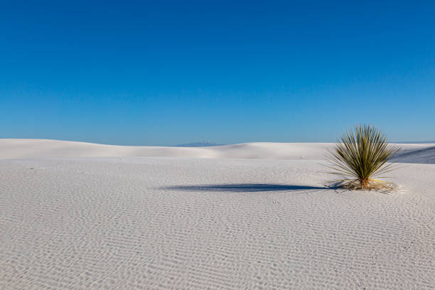 istock A View in White Sands Nationsl Park, New Mexico 1367991302