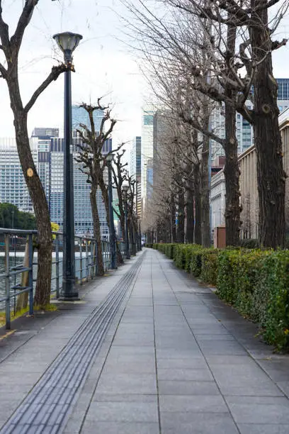 In the early morning of a sunny day in January 2022, I took a walk around Hibiya Moat in the Imperial Palace from Yurakucho Station.
I was able to see the buildings in the city center beautifully from between the rows of ginkgo trees with fallen leaves.