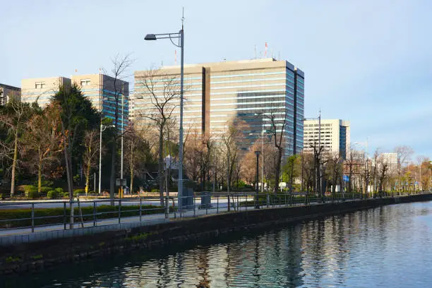 In the early morning of a sunny day in January 2022, I took a walk around Hibiya Moat in the Imperial Palace from Yurakucho Station.
I was able to see the buildings in the city center beautifully from between the rows of ginkgo trees with fallen leaves.
