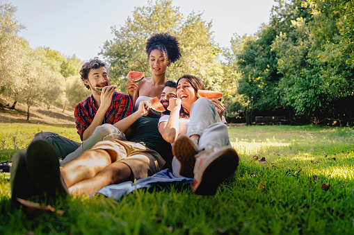 Group of happy young people having fun eating watermelon at picnic, sitting on the grass. Vivid warm colors filtered image.