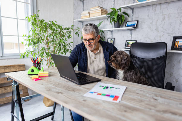 istock Man and dog using laptop in home office 1367994047