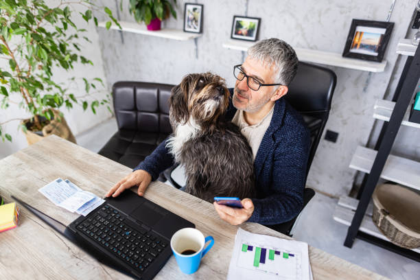 istock Dog looking his owner while he working on nlaptop 1367994234