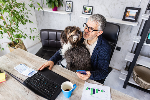 Dog looking his owner while he working on nlaptop