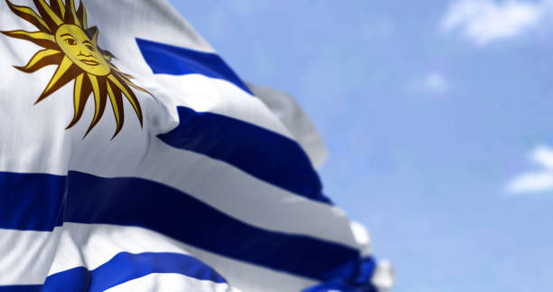 맑은 날에 바람에 흔들리는 우루과이 국기의 세부 사항 - uruguay 뉴스 사진 이미지