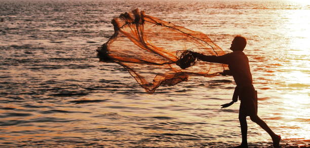 Diamond Harbour, West Bengal, India - 16th May 2020: cast net fishing on Ganges river during sunset