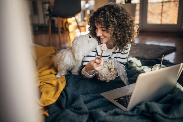 istock Dog is always hungry 1367998222