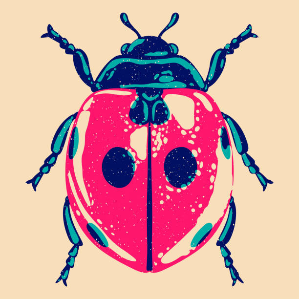 Ladybug Ladybug. Colorful cute screen printing effect. Riso print effect. Vector illustration. Graphic element for fabric, textile, clothing, wrapping paper, wallpaper riso print stock illustrations