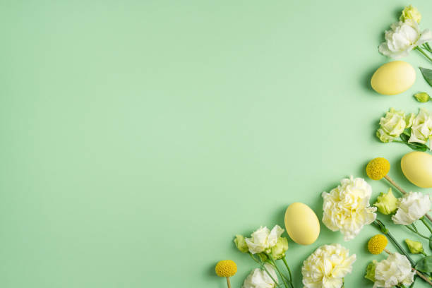 밝은 녹색 배경에 사랑스러운 신선한 흰색과 노란색 꽃과 색깔의 닭 계란. 축제 부활절 구성. 꽃이 피는 봄 방학 모형. 복사 공간, 상단 보기, 플랫 레이 - easter easter egg eggs spring 뉴스 사진 이미지