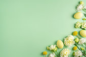 Lovely fresh white and yellow flowers and coloured chicken eggs on light green background. Festive Easter composition. Blooming spring holiday mockup. Copy space, top view, flat lay