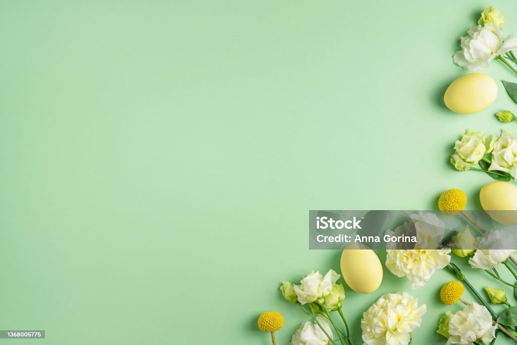 Lovely fresh white and yellow flowers and coloured chicken eggs on light green background. Festive Easter composition. Blooming spring holiday mockup. Copy space, top view, flat lay Lovely fresh white and yellow flowers and coloured chicken eggs on light green background. Festive Easter composition. Blooming spring holiday mockup. Copy space, top view, flat lay. Easter Stock Photo