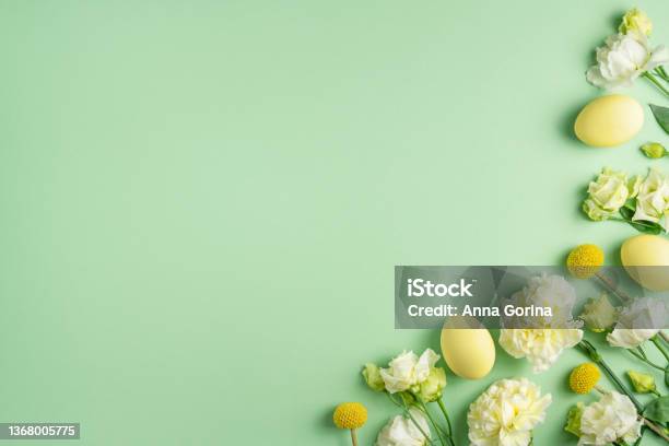 Lovely Fresh White And Yellow Flowers And Coloured Chicken Eggs On Light Green Background Festive Easter Composition Blooming Spring Holiday Mockup Copy Space Top View Flat Lay Stock Photo - Download Image Now