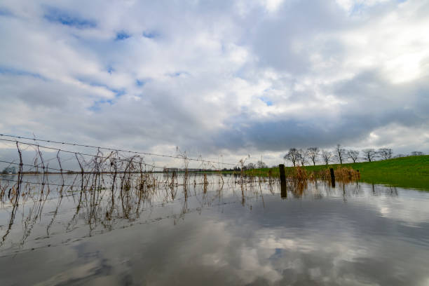 istock Flooding river IJssel in Overijssel, Netherlands after heavy rainfall 1368009197