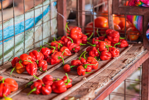 タンザニアのザンジバルの食品市場のカウンターに赤唐辛子。 - pepper bell pepper market spice ストックフォトと画像