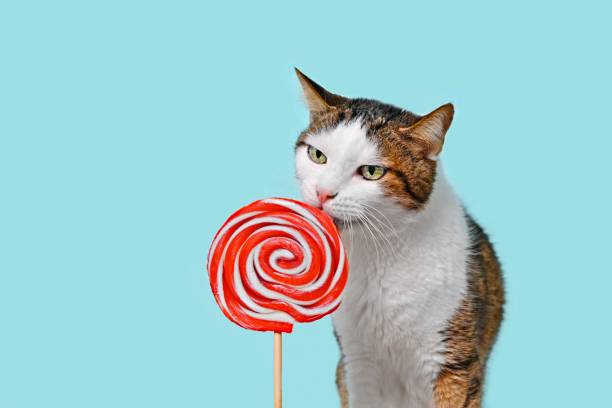 istock Cute tabby cat licking a red Lollipop on green background. Horizontal image with copy space. 1368012574